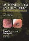 GASTROENTEROLOGY AND HEPATOLOGY  THE ESOPHAGUS VOL-51ST/1996 - MARK FELDMEN