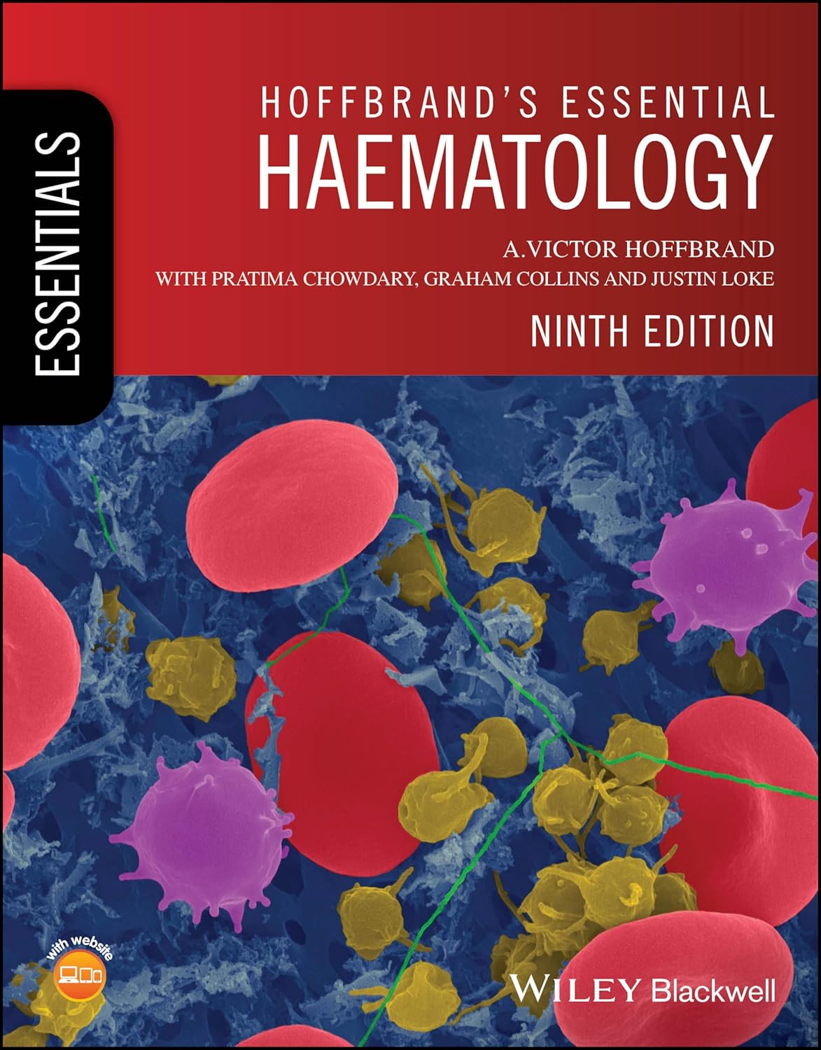 HOFFBRAND ESSENTIAL HAEMATOLOGY 9TH/2024 - HOFFBRAND (SINGLE COLOR)