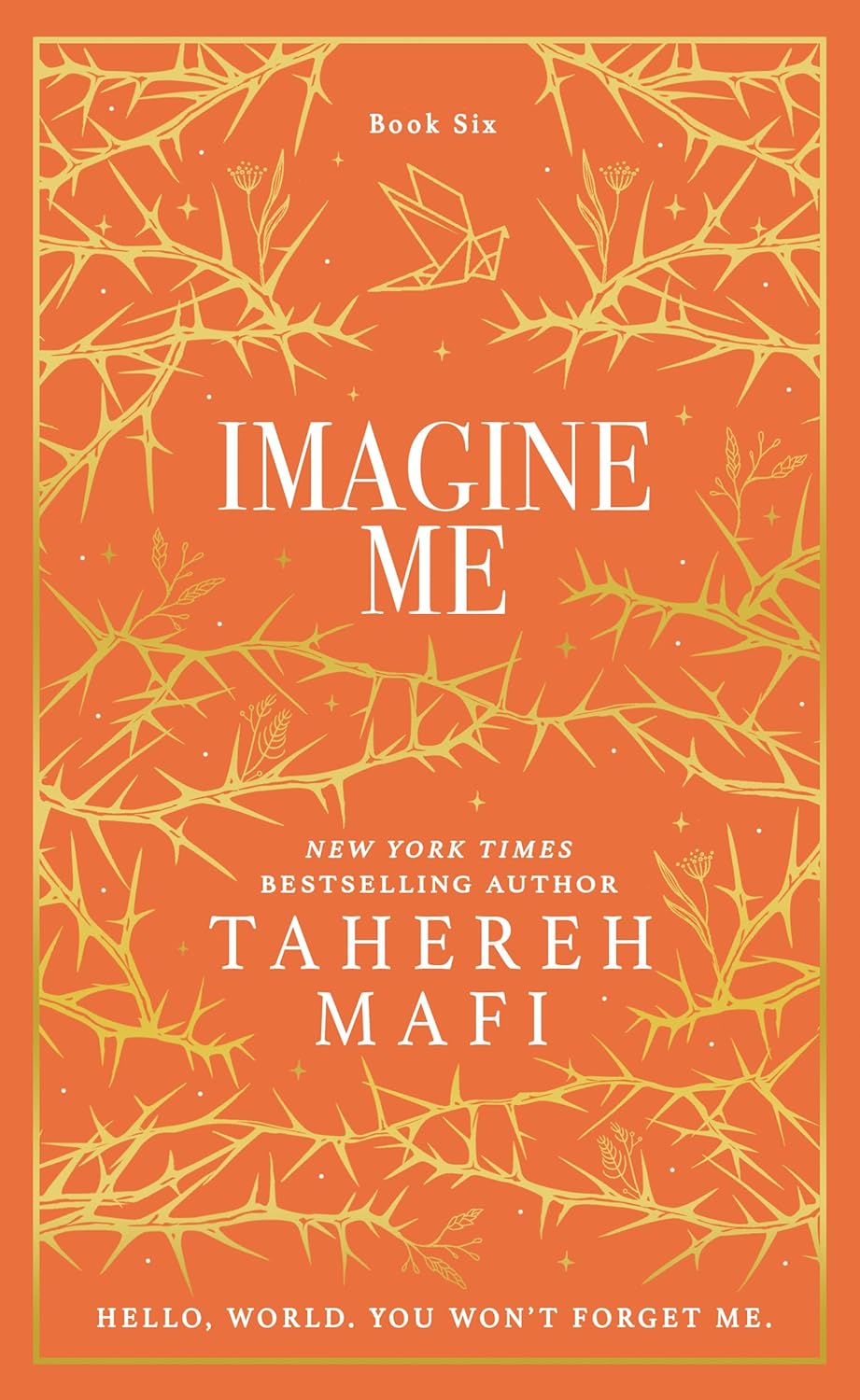 SHATTER ME COLLECTORS EDITIONS ” IMAGINE ME [SPECIAL COLLECTORS EDITION] - MAFI, TAHEREH