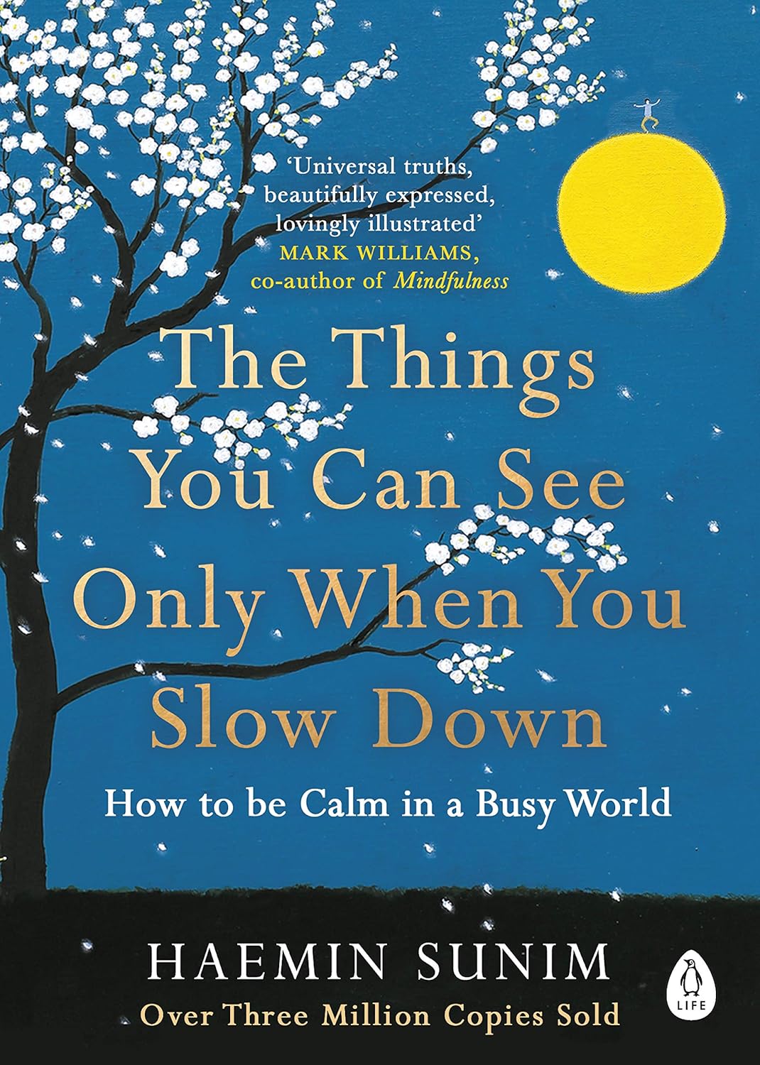 THE THINGS YOU CAN SEE ONLY WHEN YOU SLOW DOWN (LEAD TITLE) - SUNIM, HAEMIN