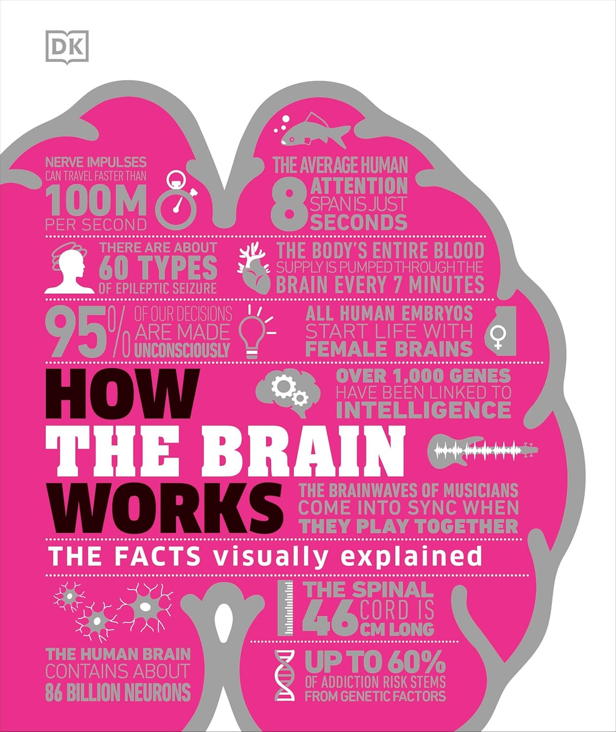 HOW BRAIN WORKS - DK
