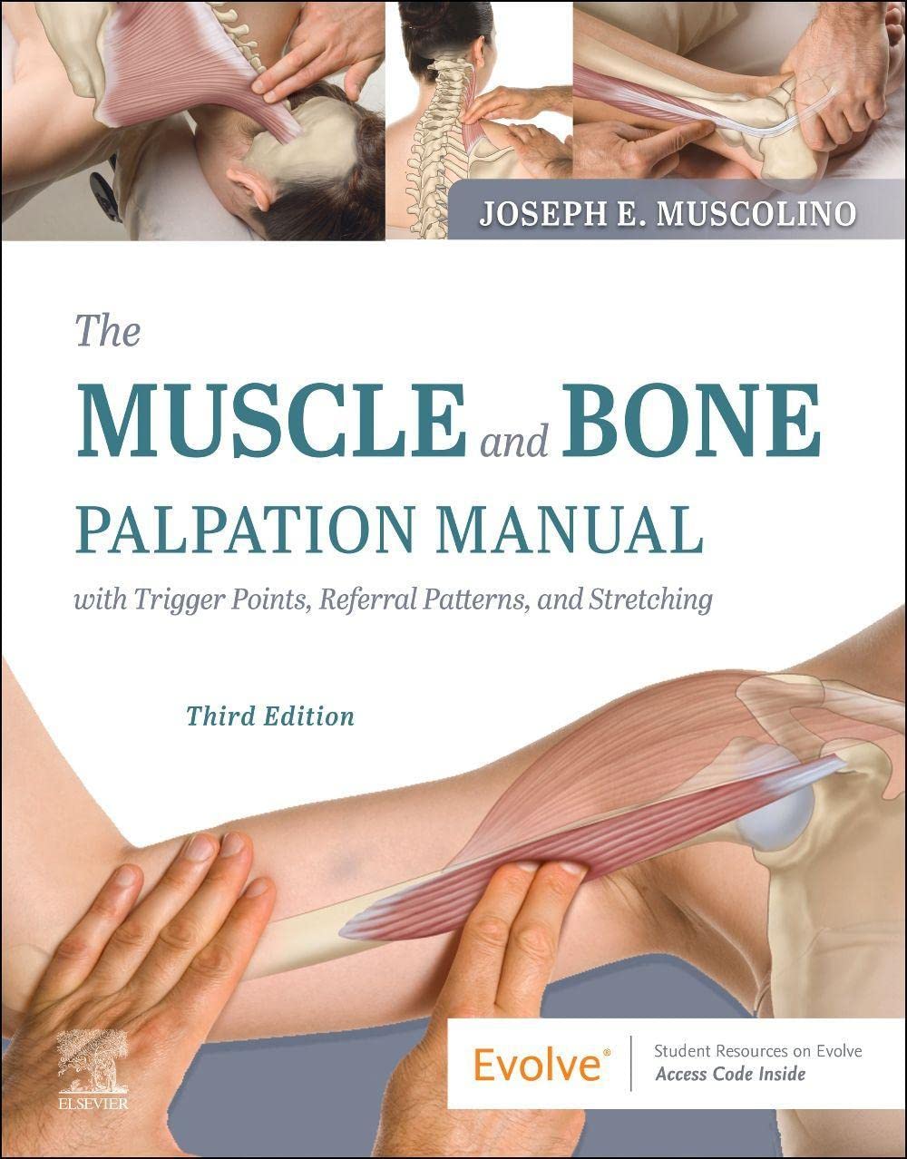 THE MUSCLE AND BONE PALPATION MANUAL WITH TRIGGER POINTS, REFERRAL PATTERNS AND STRETCHING 1ST/2022 - JOSEPH E. MUSCOLINO
