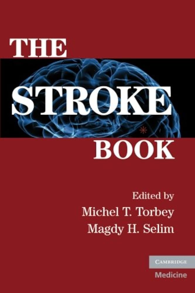 THE STROKE BOOK 1E/2007