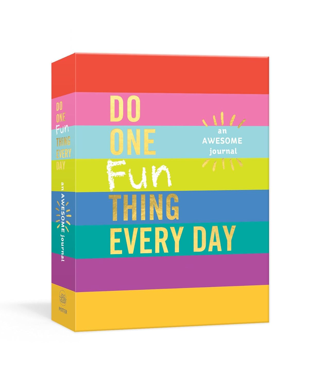 DO ONE FUN THING EVERY DAY - ROBIE ROGGE