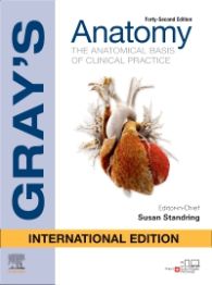 Gray's Anatomy 42nd/2020 (International Ed.)