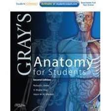 GRAYS ANATOMY FOR STUDENTS 2ND/2010- RICHARD DRAKE