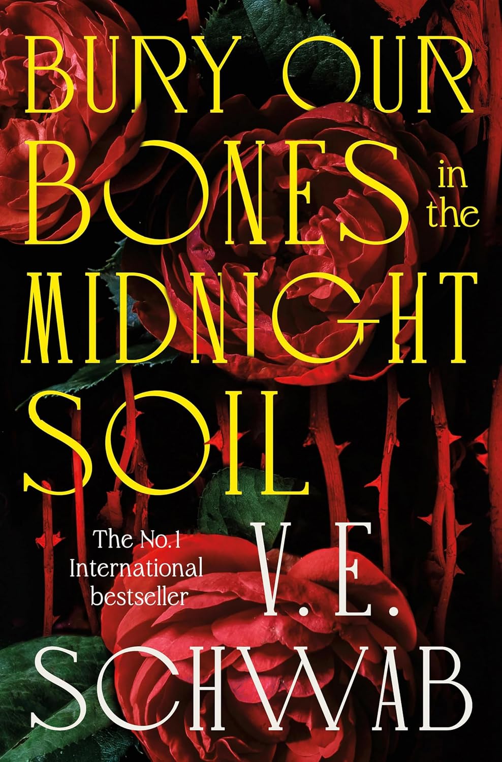 BURY OUR BONES IN THE MIDNIGHT SOIL - V E SCHWAB
