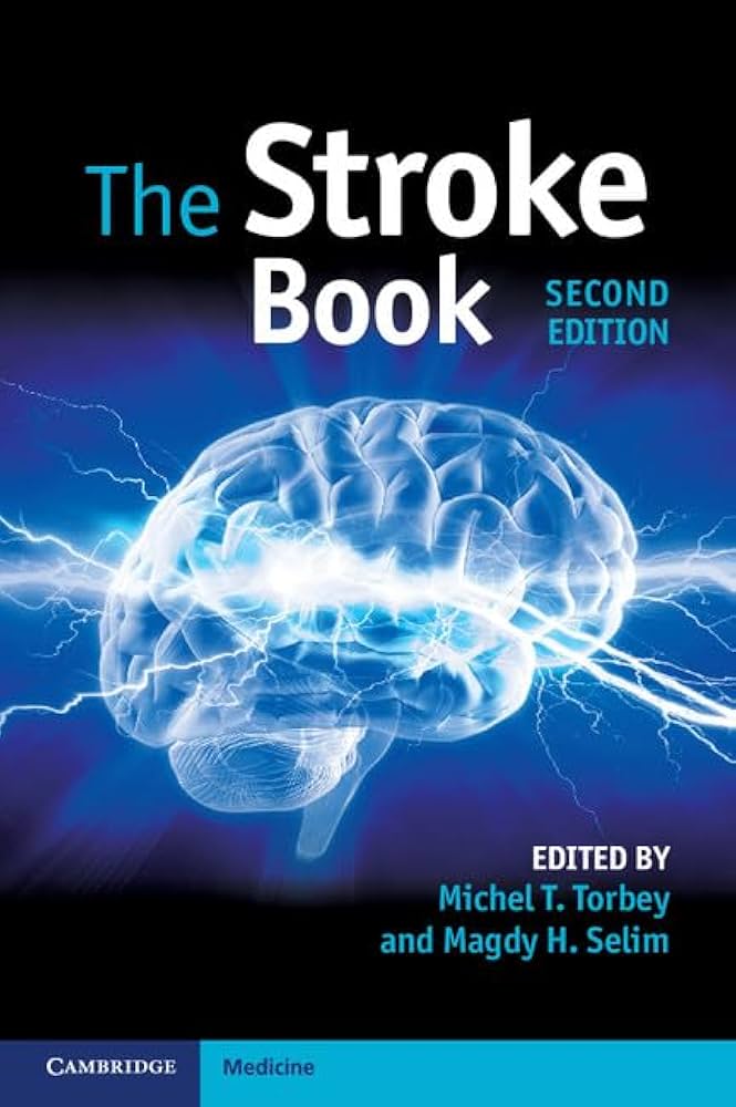 THE STROKE BOOK 2E/2013