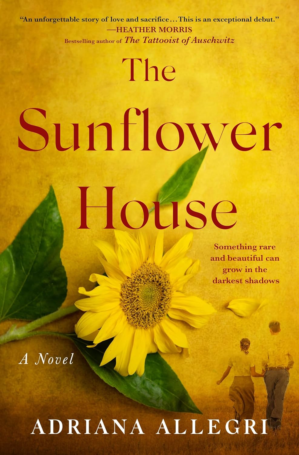 THE SUNFLOWER HOUSE - ADRIANA ALLEGRI