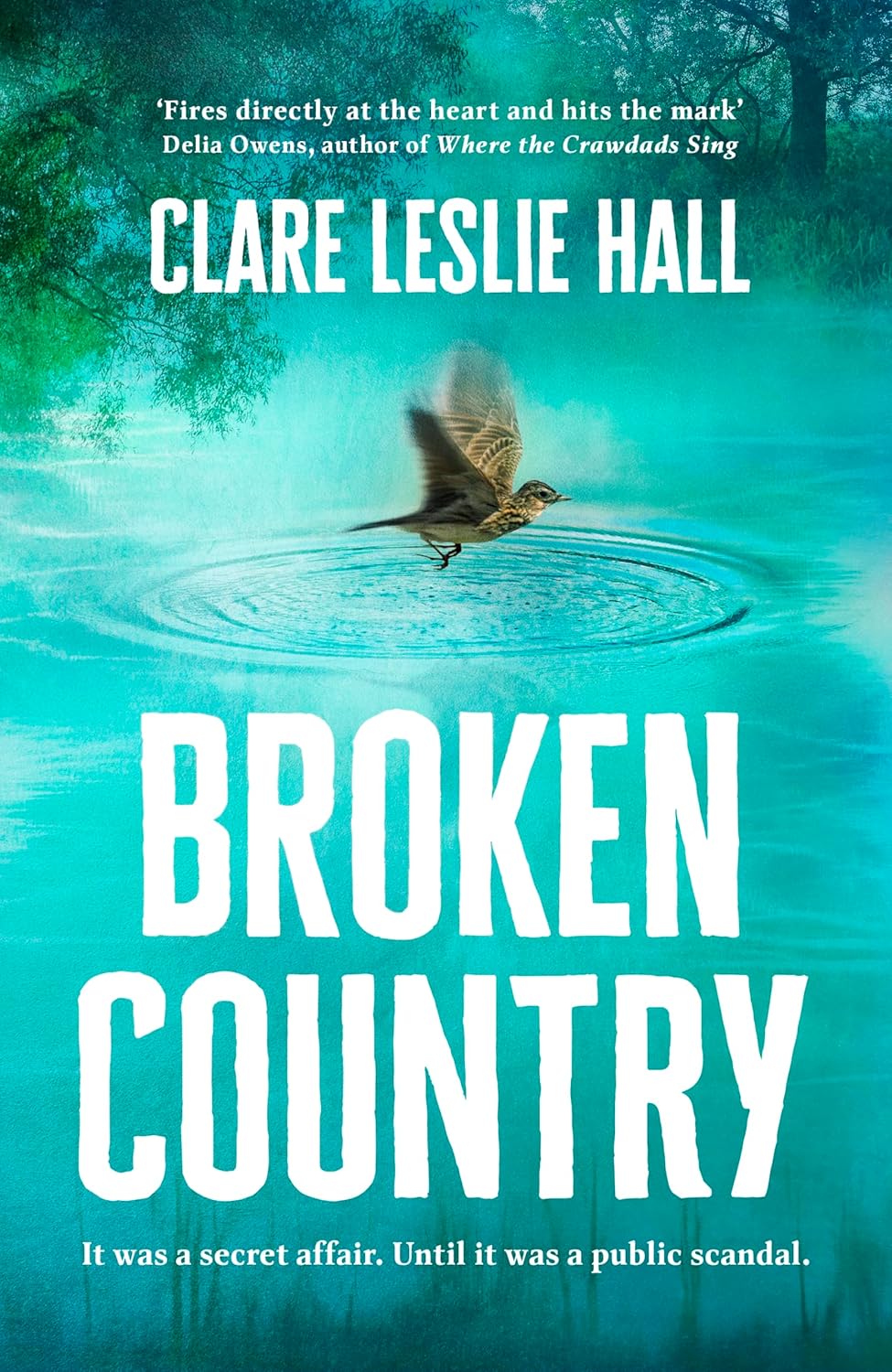 BROKEN COUNTRY - CLARE LESLIE HALL