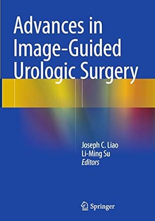 ADVANCES IN IMAGE GUIDED UROLOGIC SURGERY 1E/2015