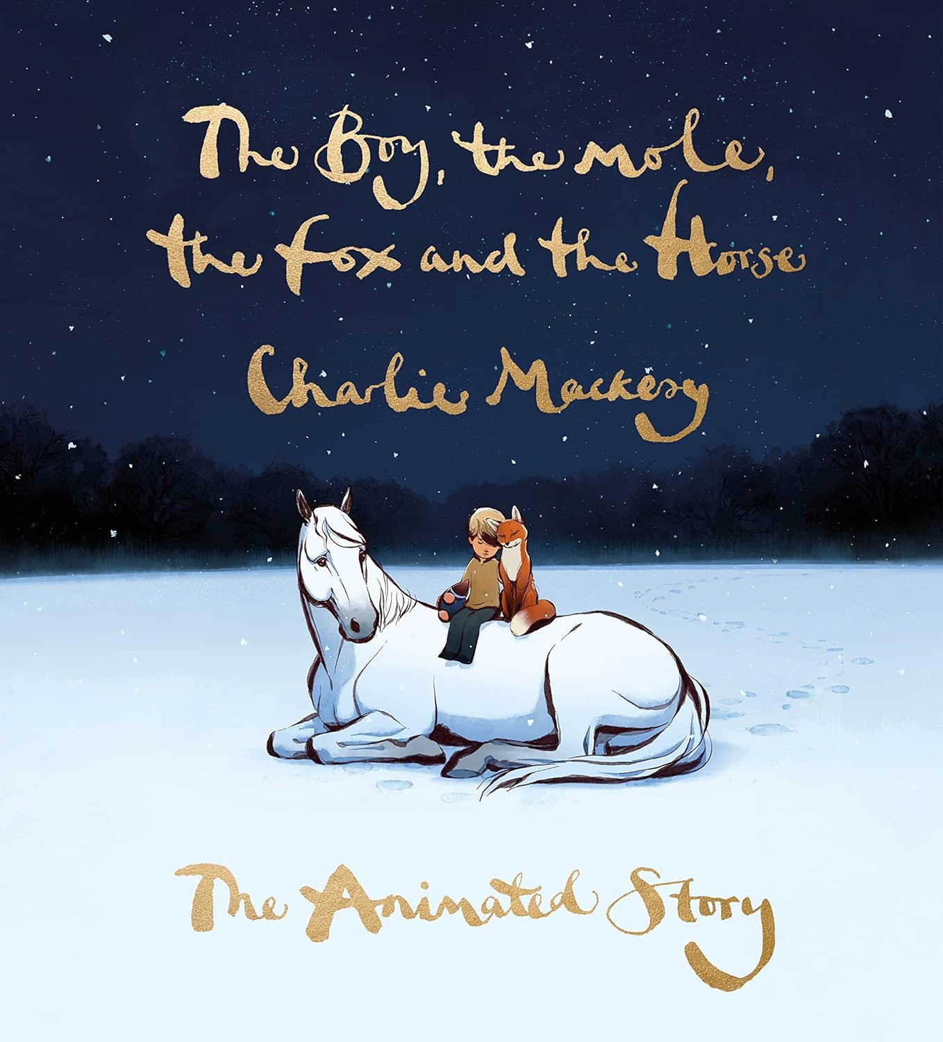 BOY, THE MOLE, THE FOX AND THE HORSE MTI - CHARLIE MACKESY