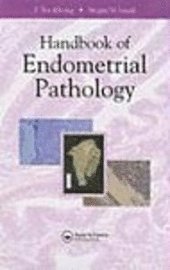 Handbook of Endometrial Pathology 1ST/2005