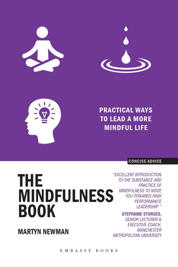 THE MINDFULNESS BOOK: PRACTICAL WAYS TO LEAD A MORE MINDFUL LIFE - MARTYN NEWMAN