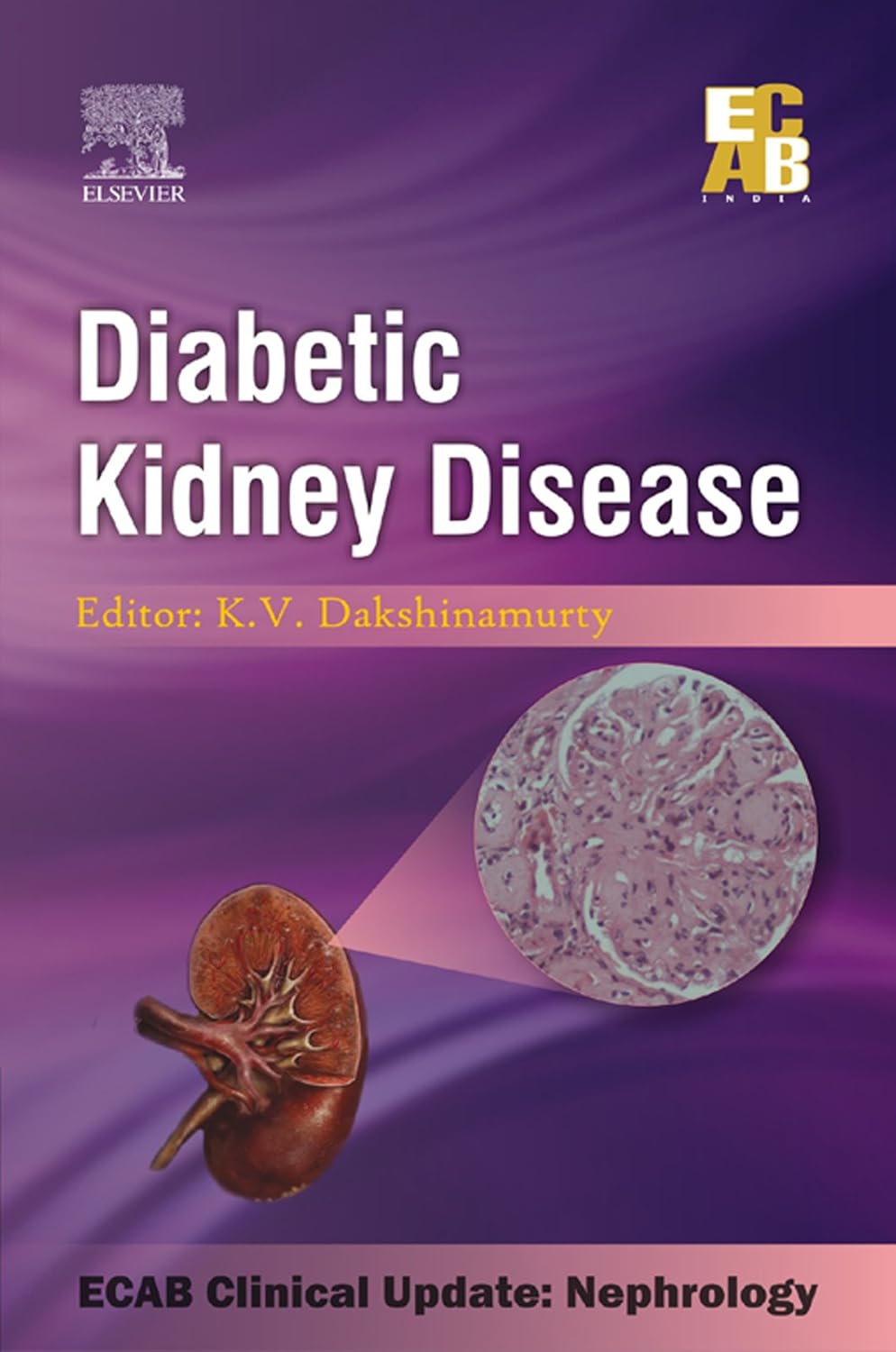 DIABETIC KIDNEY DISEASE 1ST/2011 - DAKSHINAMURTY