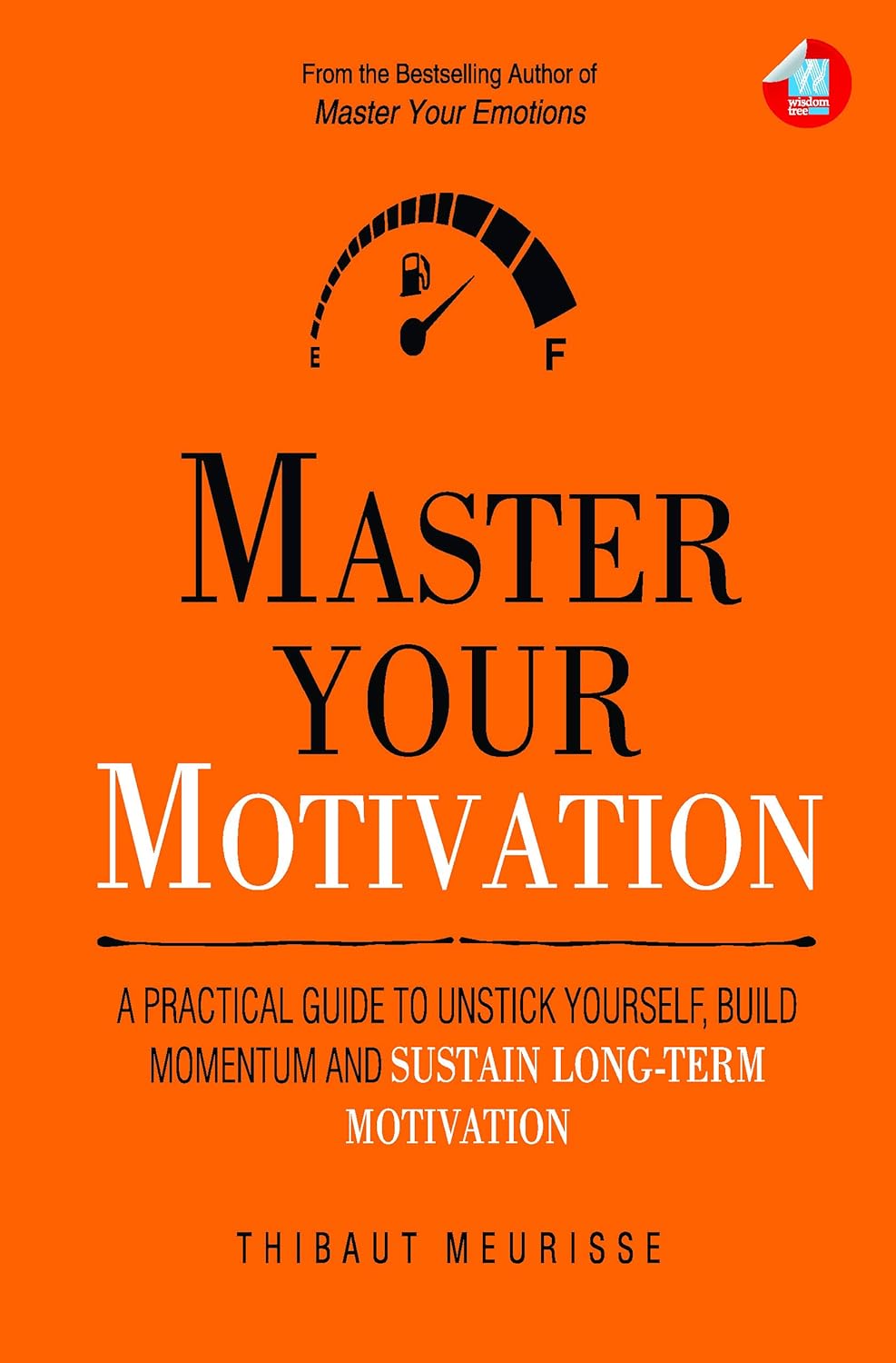 MASTER YOUR MOTIVATION - THIBAUT MEURISSSE
