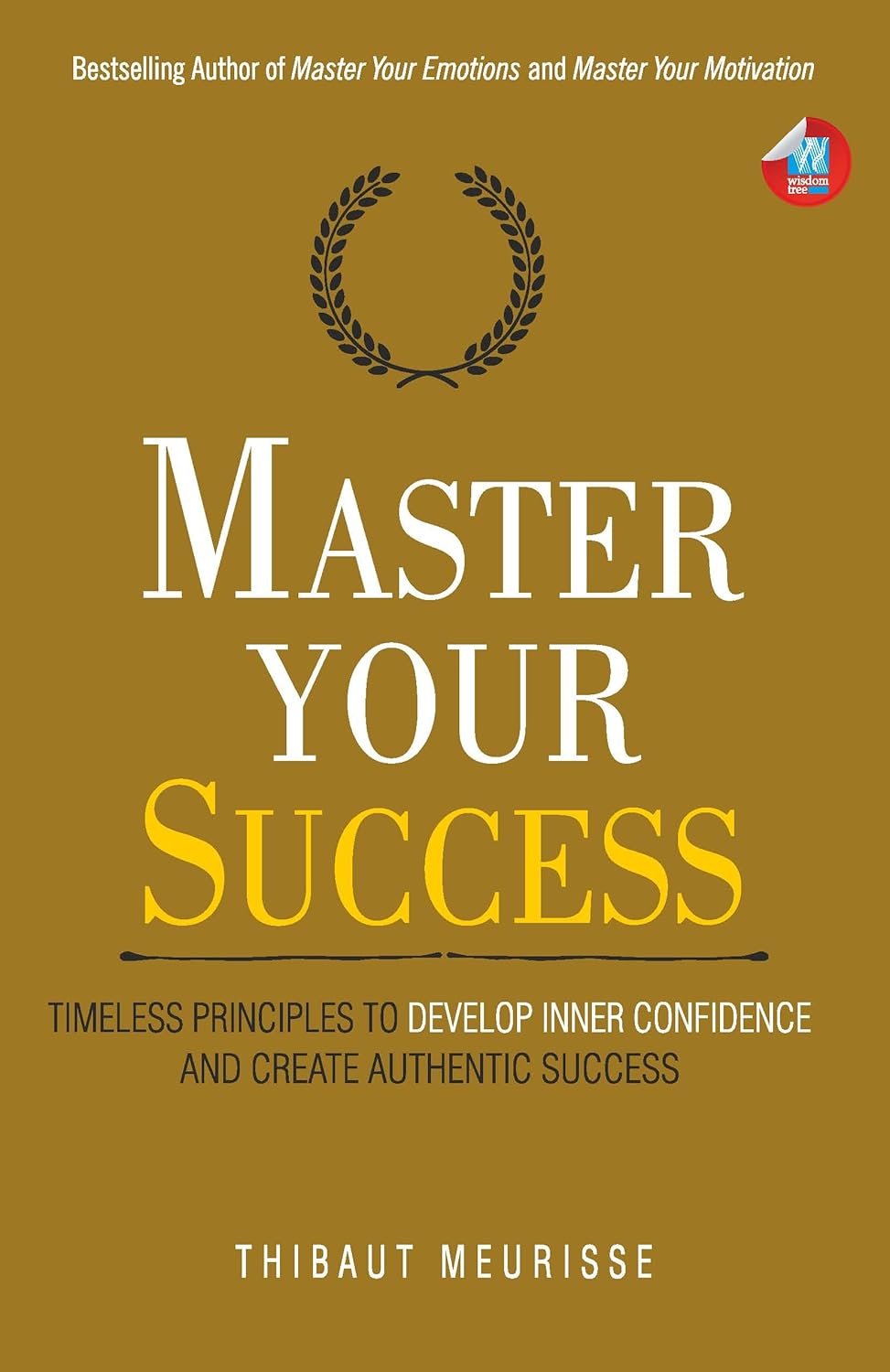 MASTER YOUR SUCCESS - THIBAUT MEURISSE