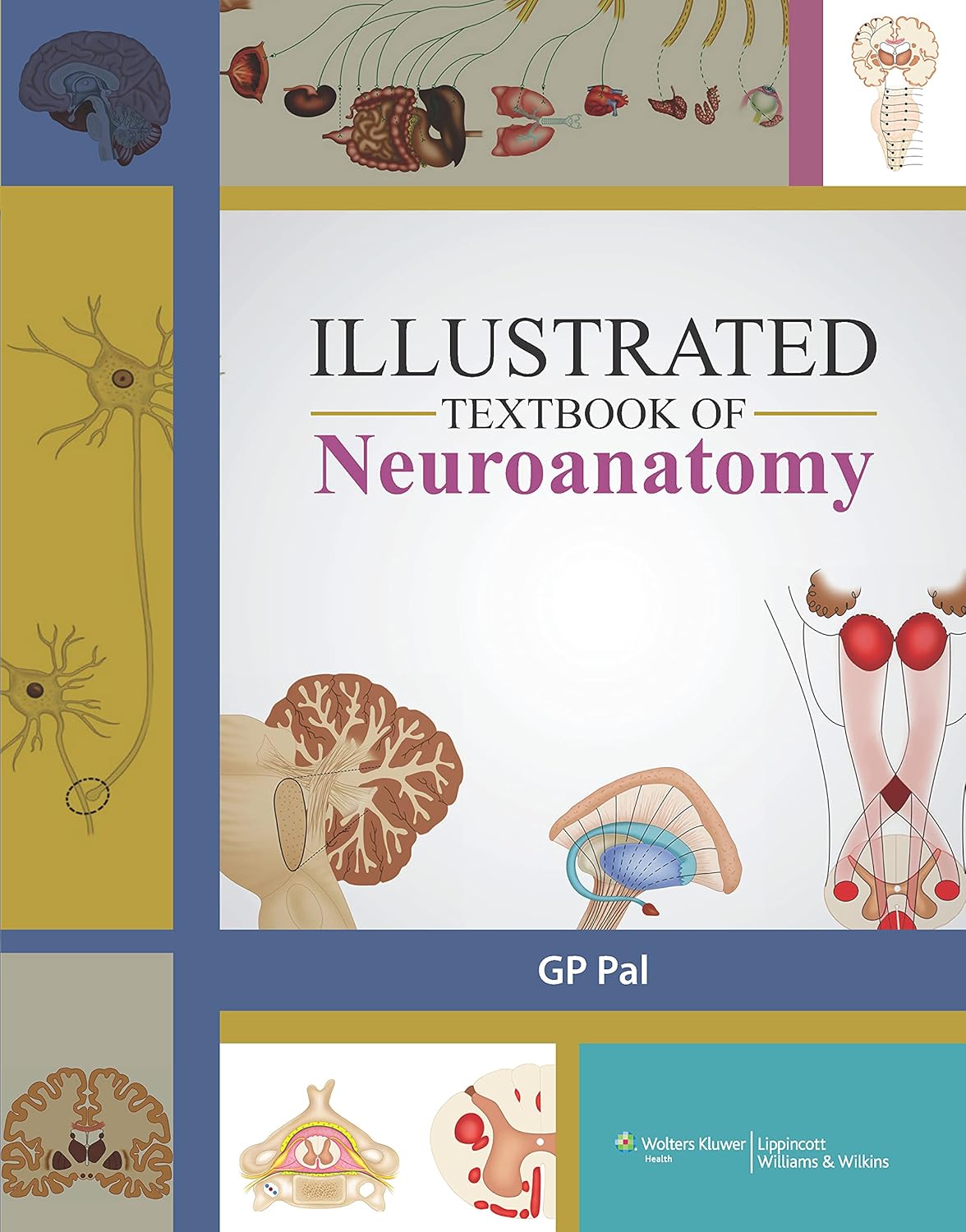 ILLUSTRATED TEXTBOOK OF NEUROANATOMY 1E/2013