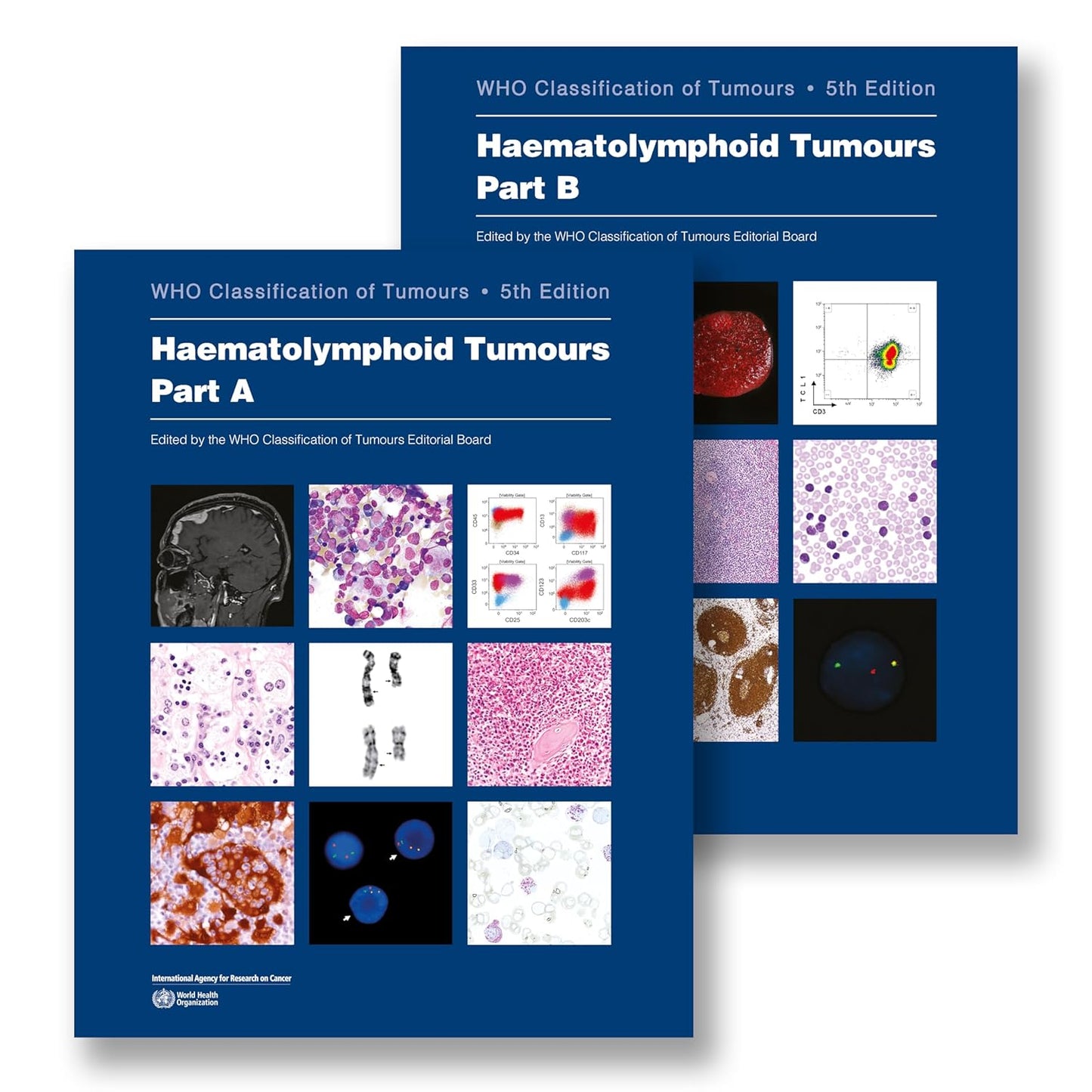 HAEMATOLYMPHOID TUMOURS- WHO CLASSIFICATION OF TUMORS 5TH