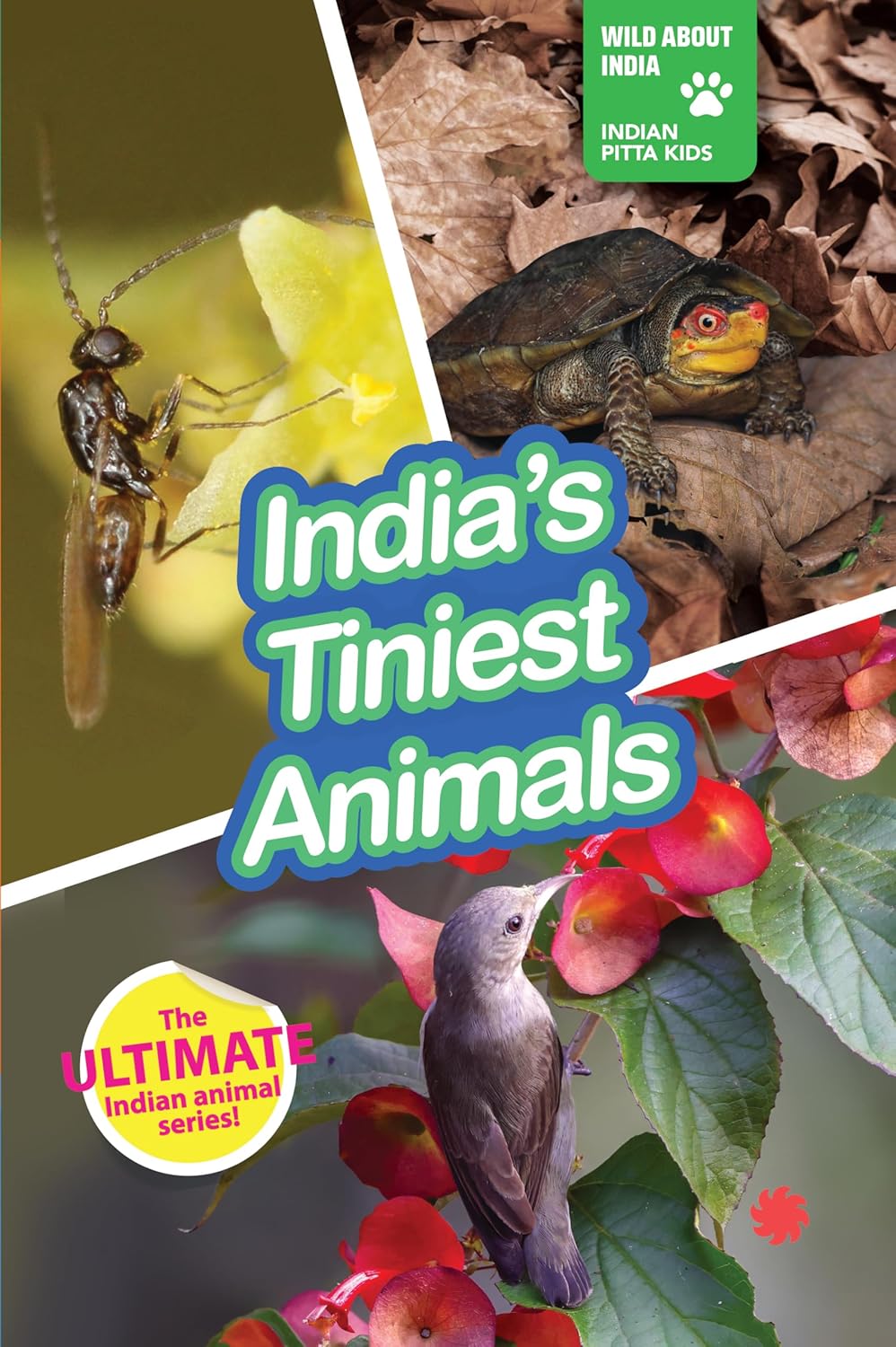 INDIAS TINIEST ANIMALS - NA