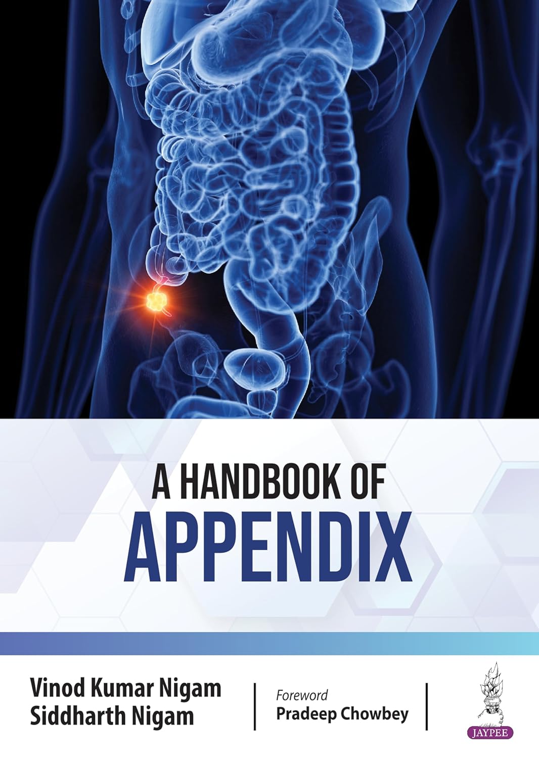 A HANDBOOK OF APPENDIX 1ST/2024 - VK NIGAM