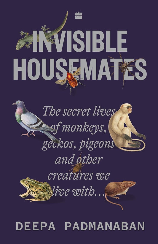 INVISIBLE HOUSEMATES - DEEPA PADMANABAN
