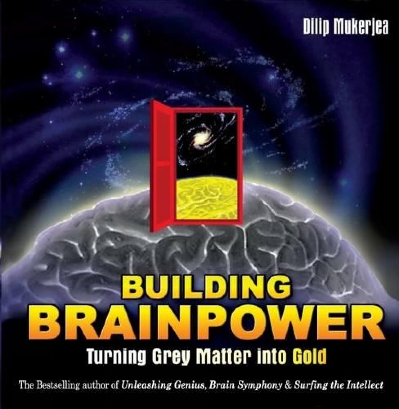 BUILDING BRAINPOWER TURNING GREY MATTER INTO GOLD - DILIP MUKERJEA