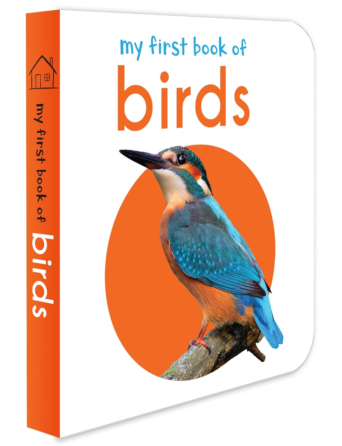 MY FIRST BOOK OF BIRDS: FIRST BOARD BOOK -  BOOKS
