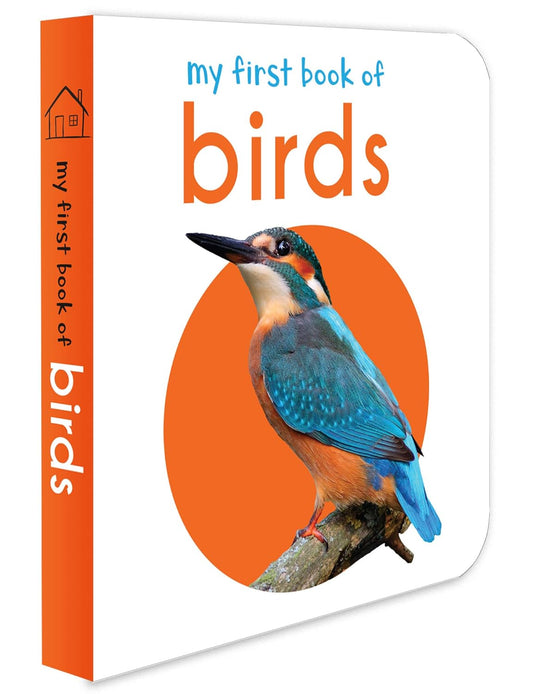 MY FIRST BOOK OF BIRDS: FIRST BOARD BOOK -  BOOKS