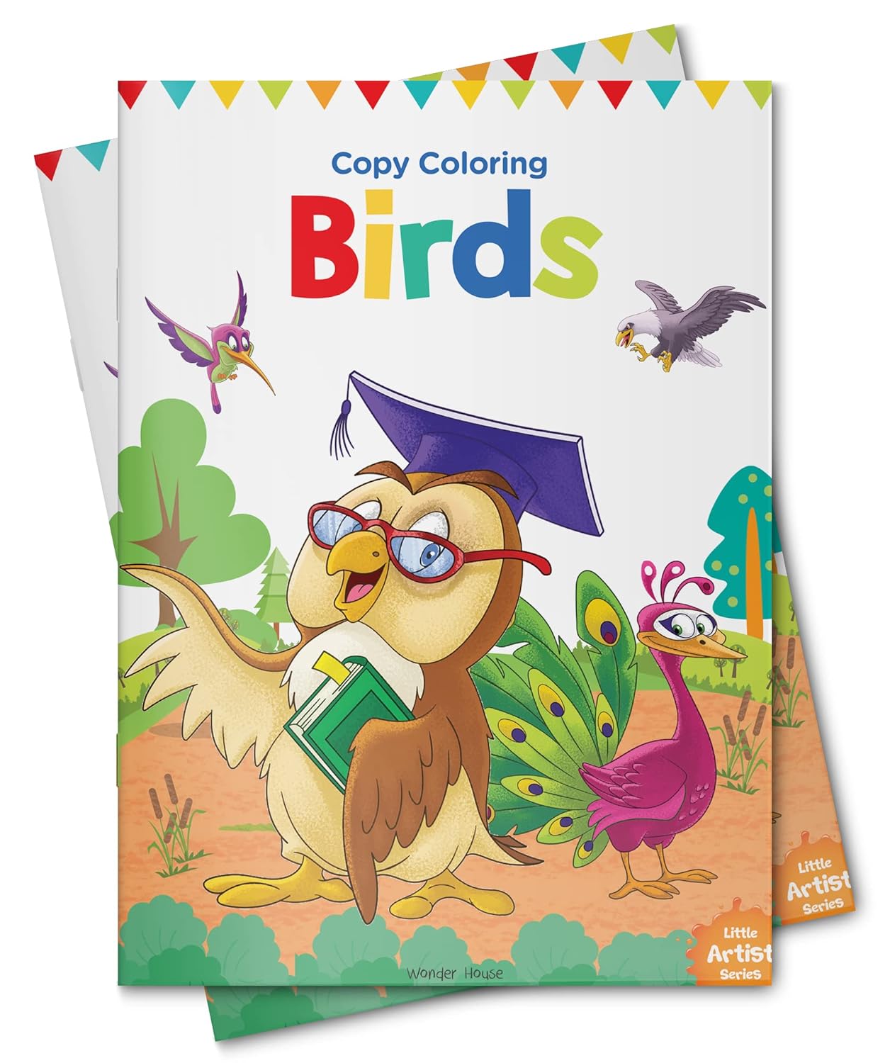 LITTLE ARTIST SERIES BIRDS: COPY COLOUR BOOKS -  BOOKS