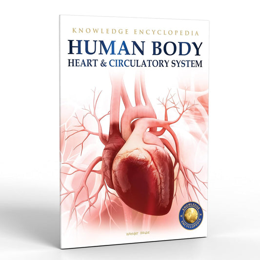 HUMAN BODY - HEART AND CIRCULATORY SYSTEM: KNOWLEDGE ENCYCLOPEDIA FOR CHILDREN -  BOOKS