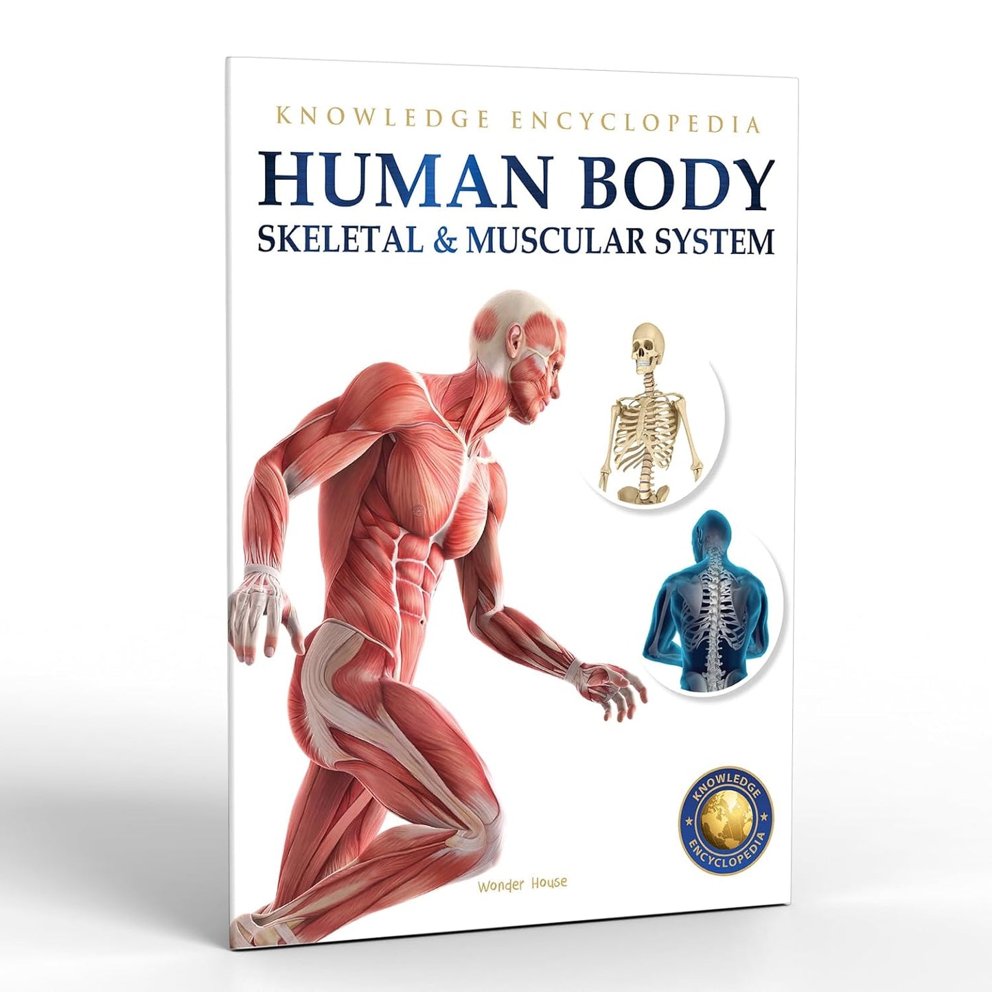 HUMAN BODY - SKELETAL AND MUSCULAR SYSTEM: KNOWLEDGE ENCYCLOPEDIA FOR CHILDREN -  BOOKS