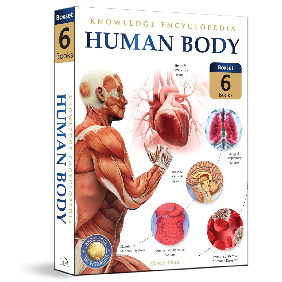 HUMAN BODY BOX SET: KNOWLEDGE ENCYCLOPEDIA FOR CHILDREN -  BOOKS