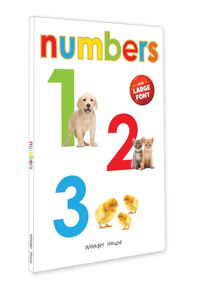 NUMBERS - EARLY LEARNING BOARD BOOK WITH LARGE FONT : BIG BOARD BOOKS SERIES -  BOOKS
