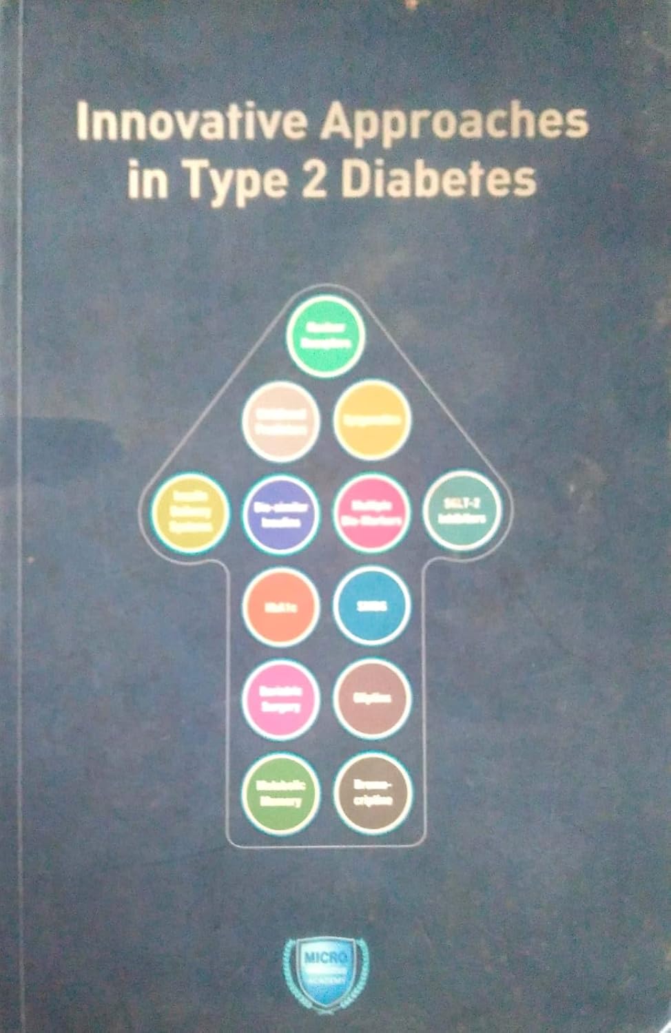 INNOVATIVE APPROACHES IN TYPE 2 DIABETES 1ST/2024 - DIAPRIDE